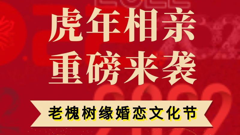 首届老槐树缘婚恋文化节主题交友社交活动开始报名啦！